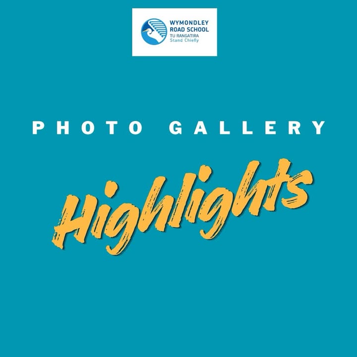 šø Check out our latest photo gallery highlights!